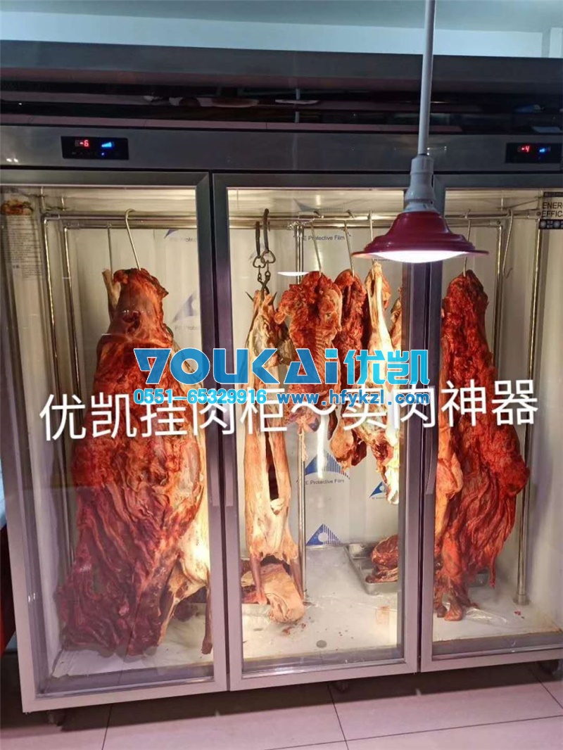 牛羊肉掛肉柜